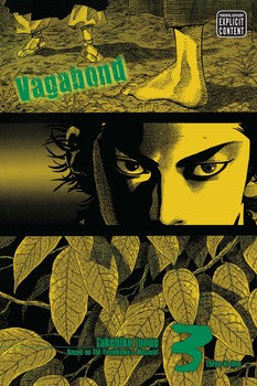 Vagabond Vizbig Edition Vol 3